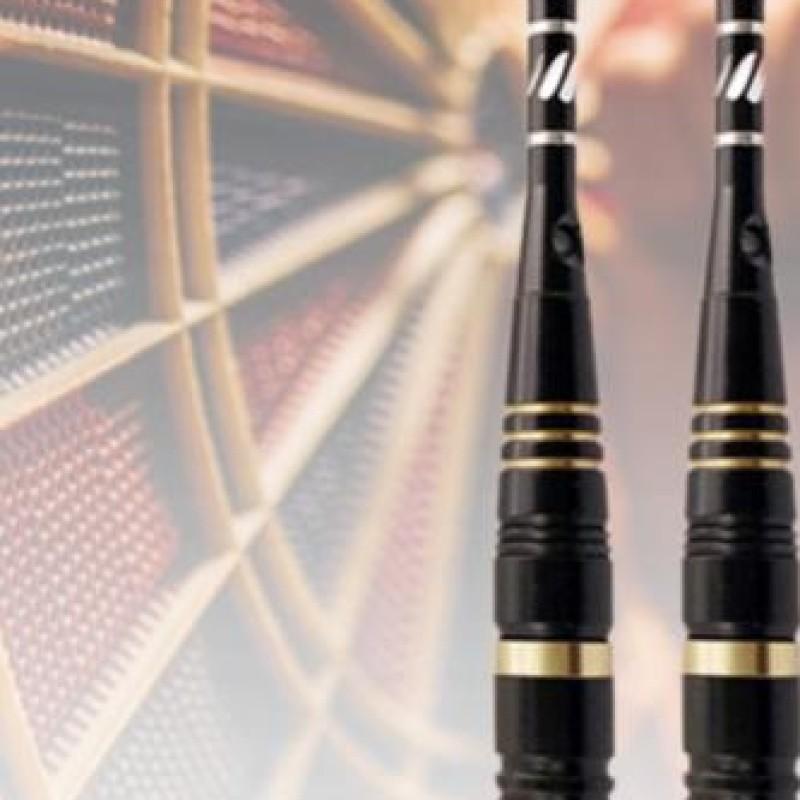 

3pcs/Set Throwing Hard Dart Lightweight Needle Tip Darts Replaceable Multipurpose with Storage Case for Amusement Games China Mainland