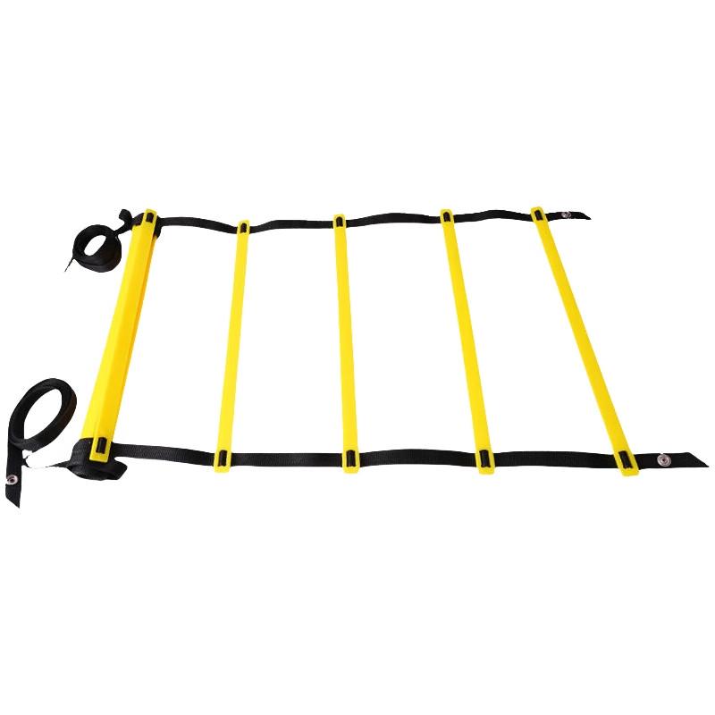 Agility Training Ladder