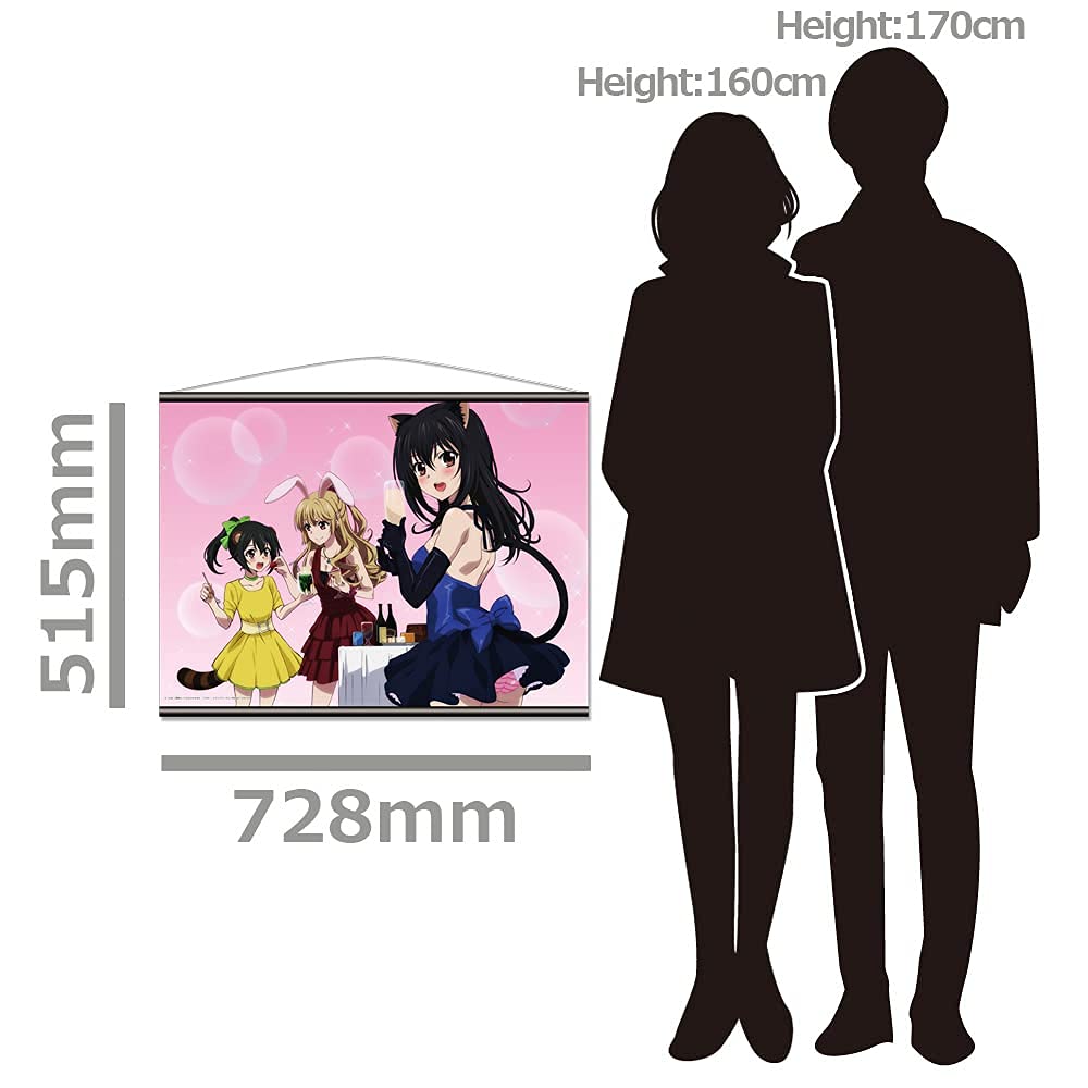 OVA Strike the Blood III B2 Tapestry B [Yukina Himeragi & Asagi Aiba & Nagisa Akatsuki]