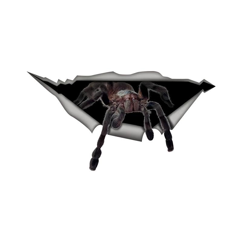 

Spider Car Stickers Scratch Blocking Self-Adhesive Waterproof Decal, Used for Car, Laptop, Motorcycle, Van, RV 15cm-Longest Side