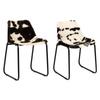 Day and Night - Day and Night Dining Chairs 2 Units Genuine Goat Leather