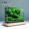 Mini Ver Rainforest Fougère Mousse Carré Écologique Géométrique Miniature Terrarium en Ver Pot à Plantes Récipient Serre de Table
