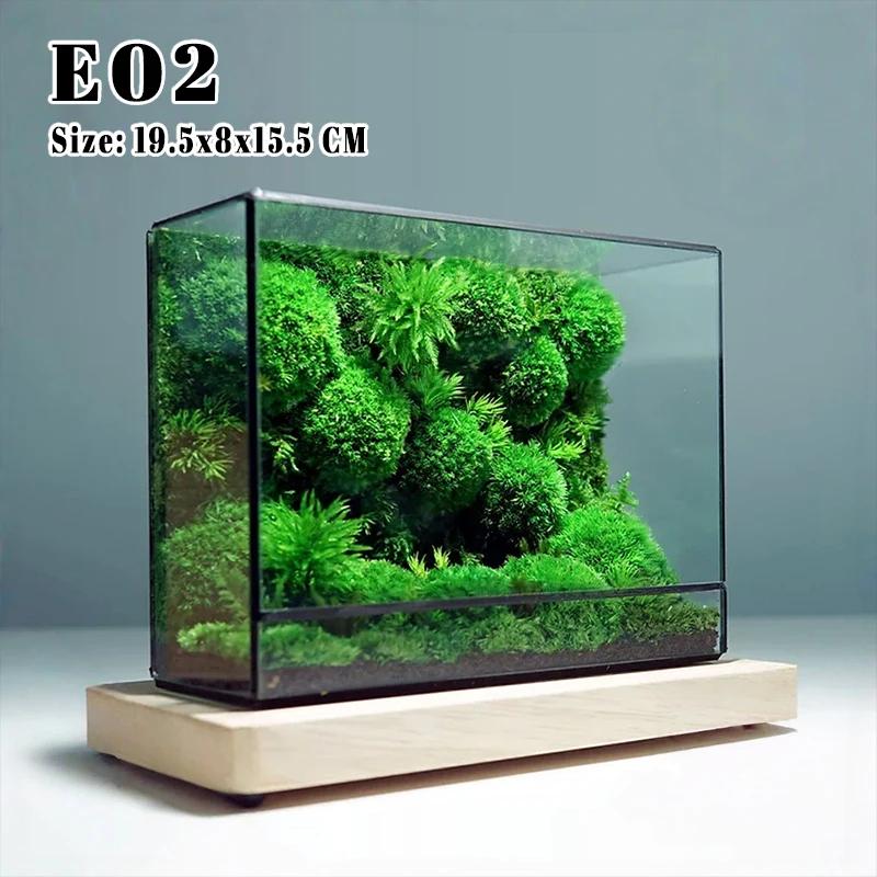 Mini Ver Rainforest Fougère Mousse Carré Écologique Géométrique Miniature Terrarium en Ver Pot à Plantes Récipient Serre de Table