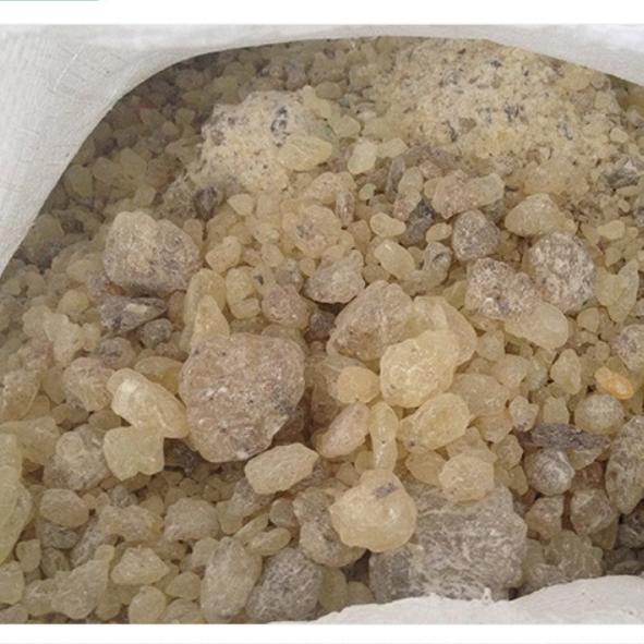 Natural Dammar Gum for Incense Sale, Premium Grade, Dammara Orientalis Indonesia, Pure Damar Resins