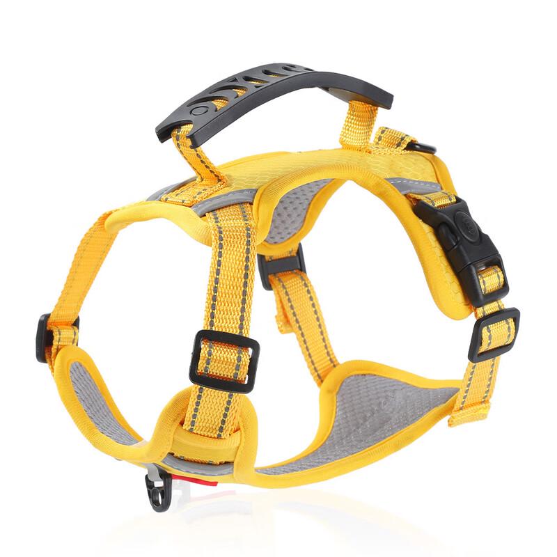 WEZHO Adjustable Dog Harness & Leash Set