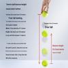 Sining Tennis Training Ball Set