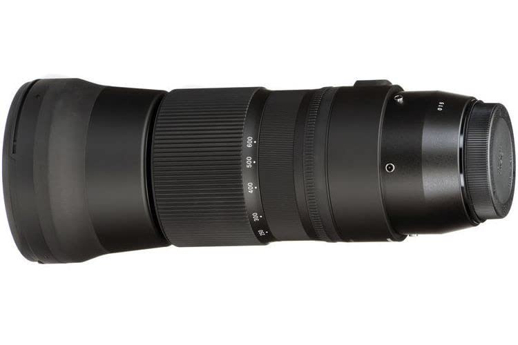 Sigma SIGMA Sigma Nikon F-Mount-Objektiv 150–600 mm F5–6,3 DG OS HSM Zoom Super-Teleobjektiv Teleobjektiv Vollformat Zeitgenössisch Nur SLR
