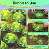1/10pcs Slug Collars Snail Garden Cloches For Plant Vegetable Reusable Agricultural Plant Plastic Protection Covers Pest Control