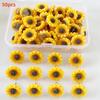Bview Art Creative Sunflower Design Push Pins 30/50 PCs, Adorable Floral Cork Memo Board with Decorative Thumb Tacks