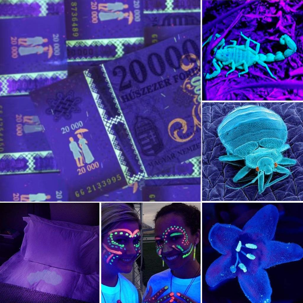 21LED UV Torch Mini UV Lamp with Zoom Function Fluorescent Detection Lamp ZH