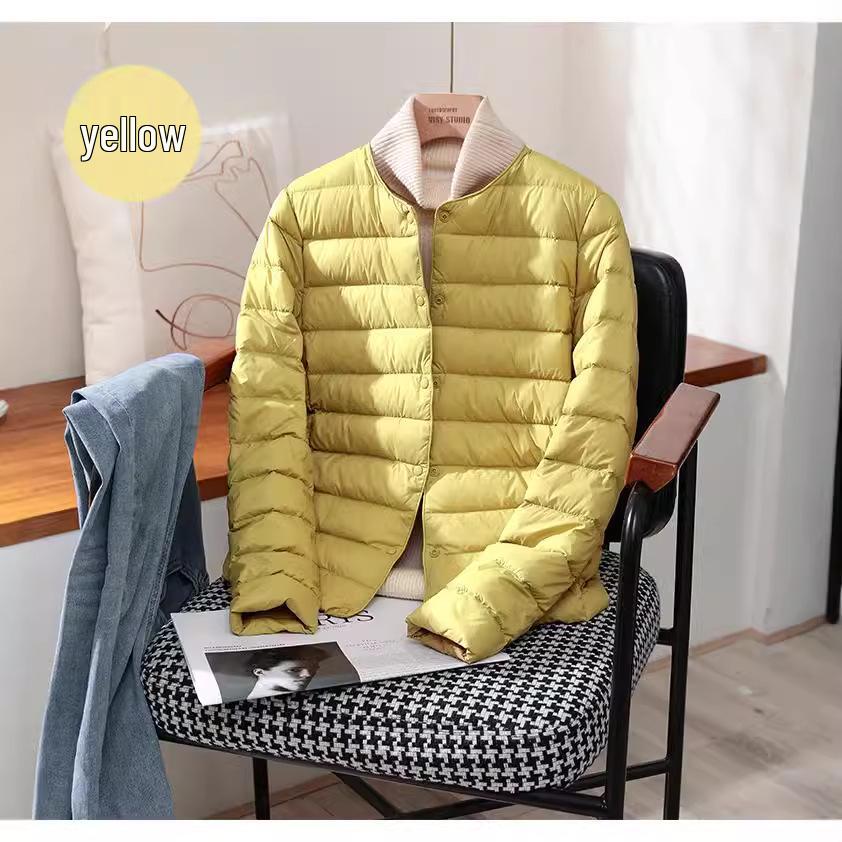 2024 Women's Slim Lightweight Down Jacket - Short, Round Neck, Warm Inner Layer, Trendy Plus Size Outerwear
