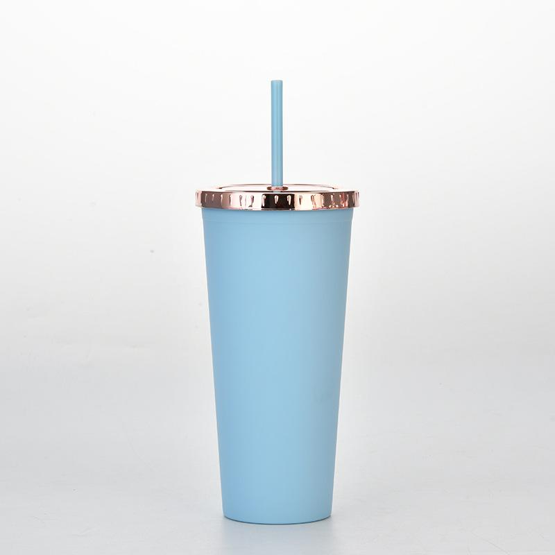 Plastic Water Cup Fashionable Rose Gold Cover Matte Multi-Color Double-Layer Plastic Straw Cup
