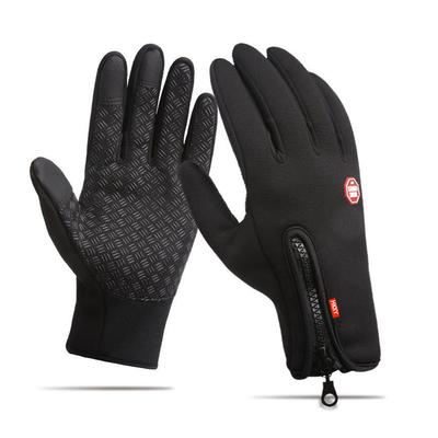 Equipaggiamento protettivo – Guanti da motociclista