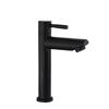 VEMUSE JDF-CW-515 Stainless Steel Single Cold Basin Faucet