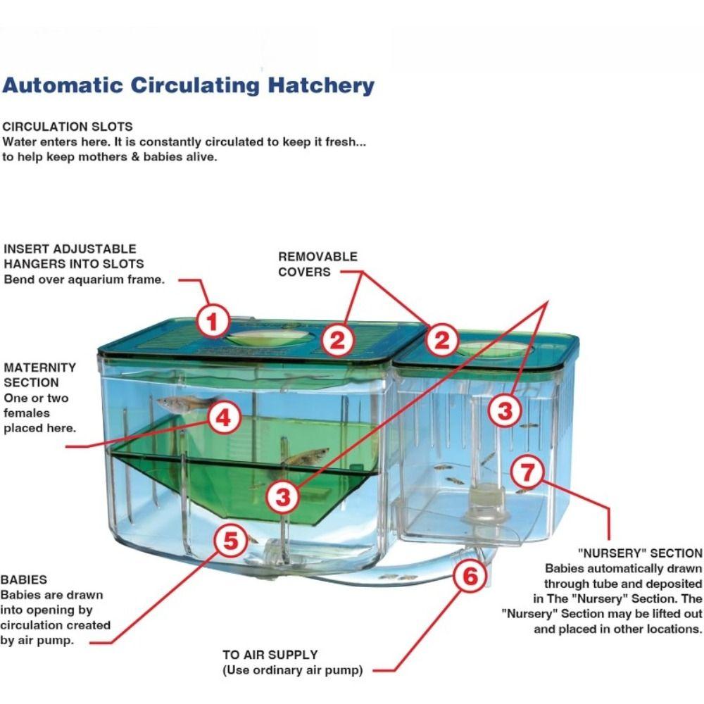 Transparent Fish Tank Hatchery Slotted Design Breeding Isolation Box  Isolation