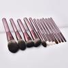 12 Pcs Cosmetic Brush Set with Storage Bag Makeup Brush Set Eye Shadow Brush Basic Essentials Brush Set Concealer Brush