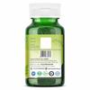 Organic Zing Artemisinin Capsules - 60 Caps, 500mg - Vegan, Gluten-Free Extract for Immune Support & Holistic Wellness from Artemisia Annual