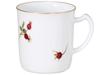 Okura Art Pottery Rosehip Mug, Coffee/Tea, Approx. 310cc, Made In Japan, 105c/3031