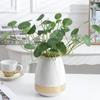 Marble Design Ceramic Vase Golden Circle Flower Vase Water Planting Container Centerpiece Home Decoration Wedding Gift