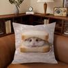 Funny Sad Hamster Emoticon Cushion Cover Pillowcase Upholstery Sofa Throw Pillow Home Decor Pillowcas