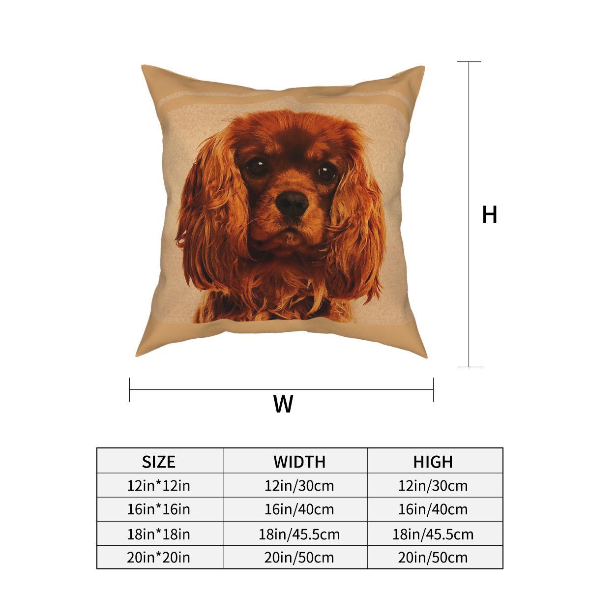 

Гренландия, Убирайся из Америки Наволочка для декоративной подушки Полиэстер Декоративная подушка MAGA Персонализированная наволочка 30x30cm 12x12in