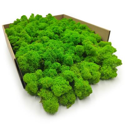 Decorative Items – Plastic Decor Crafts