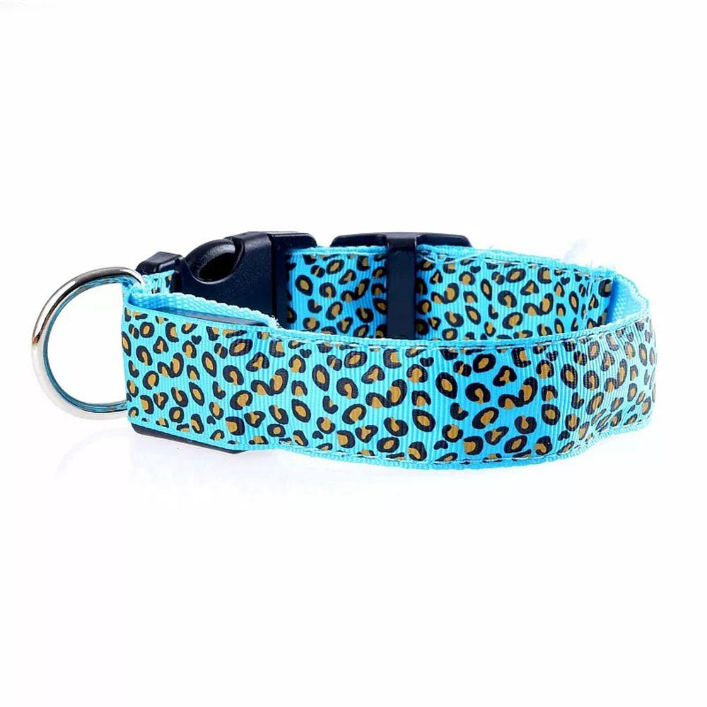 bright dog collars