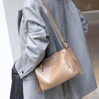 Women's Luxury Handbag Winter High-quality Shoulder Hobo Versatile Pillow Bag Ladies' Commuting Crossbody Bag