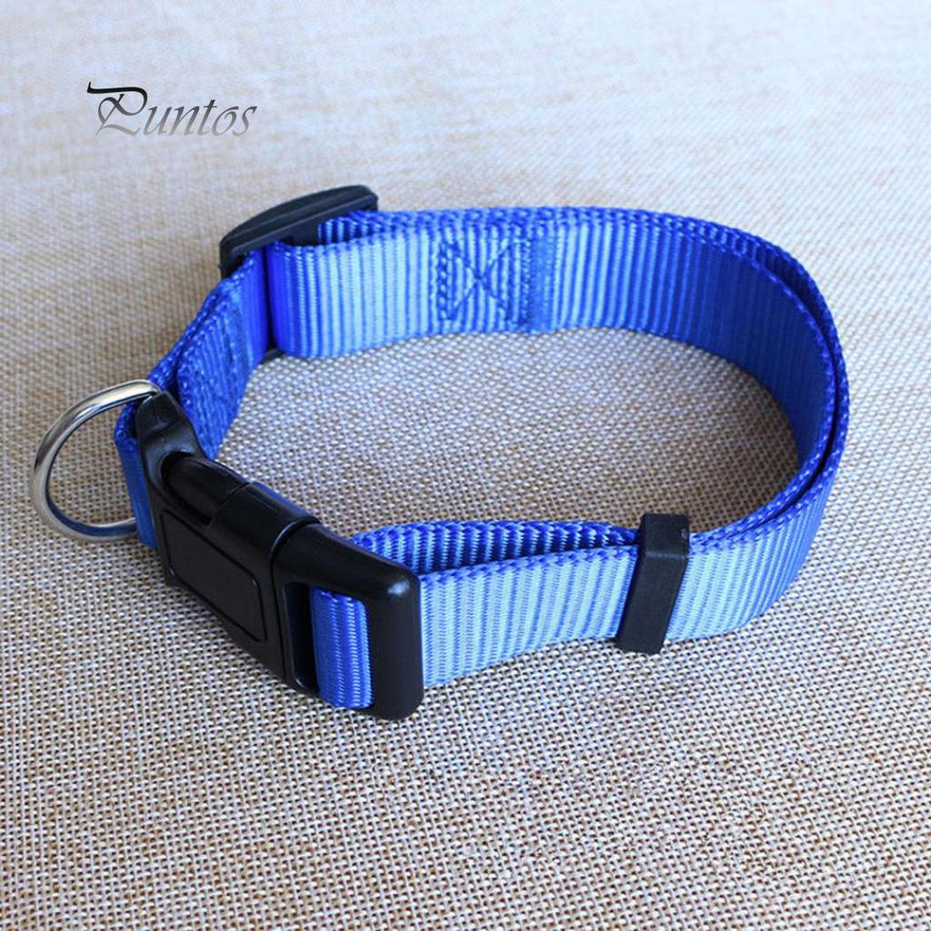 Puppies Pet Collar Neck Strap Outdoors