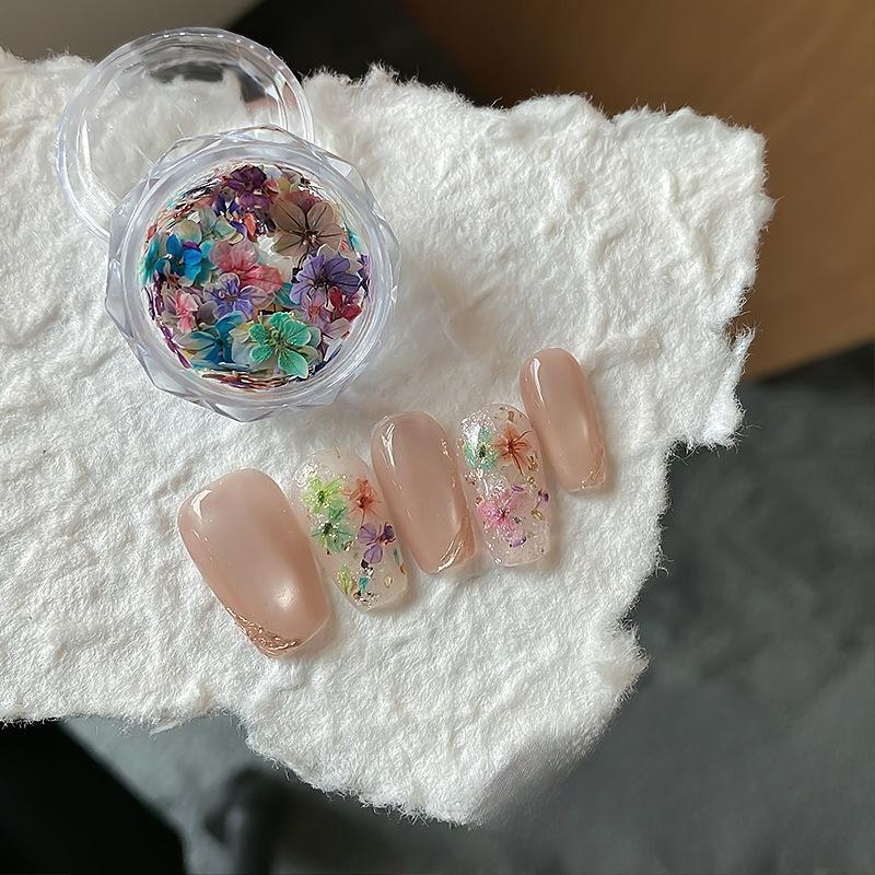 

1Box Mini Dried Real Flowers for Nail Art Decoration 3D Colored Pressed Dry Flower DIY Craft Supplies DIY Nail Accessories