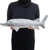 Spannender illustrierter Führer Süßwasserkreaturen Edition Tier Plüschtier - (Stör)