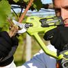 ONEGREEN Brushless 30MM Electric Pruner Shear 2 Gears Cordless Tree Bonsai Pruning Scissors Tools For Makita 21V Battery Pin