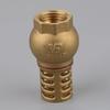 Strong Metal Brass Foot Valve Anti Backflow One Way Bottom Valve Easy Installation Female Thread Strainer Filter