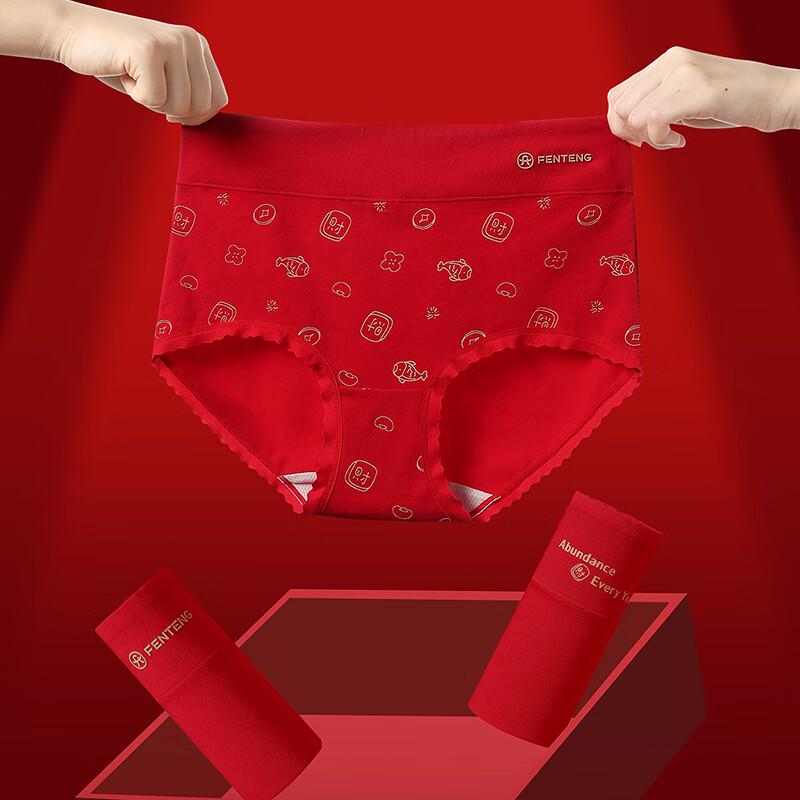 Fenteng Women's High-Waist Cloud Cotton Briefs 3-Pack