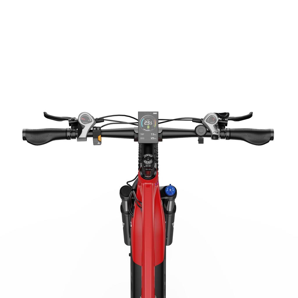 DUOTTS E29 All Terrain Adult Electric Bicycle 48V13.5AH Battery 250W Motor 27.5×2.6 Wide Tires Off-Road Electric Bike Outdoor E-Mountain Bike
