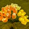 10Pcs Tulip Flower LED Lights USB Powered Warm Glow Faux Flower Lamp for Bedroom Living Room Wedding Decor Creative Ambient Night