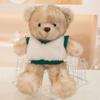 Sweet Cute And Teddy Bear Short Soft Plush Toy For Children Playtime Fun