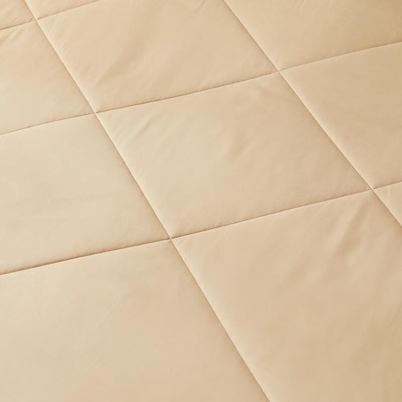 LUOLAI Antibacterial Silk Blend Quilt