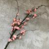 Chimonanthus Praecox Branch Artificial Flower Decoration Living Garden Room