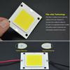 White/ Warm white 10W 20W 30W 50W 70W 100W Light Source LED COB Chip with Power Supply Driver
