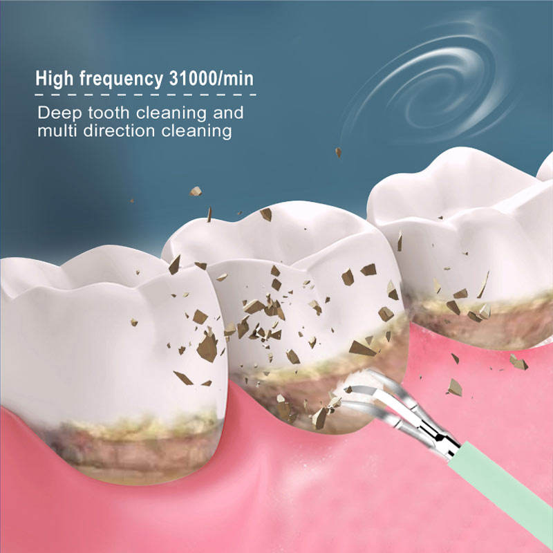 Waterproof Sonic Electric Toothbrush 5 Brush Heads +2 Teeth Cleaner +1 Dental Mirror USB Dental Calculus Scaler Teeth Whitening Plaque Tartar Removal