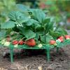 Tray Support for Planting Potted Fruits Green Plants Splicing Anti-Rot Lodging Leaf Rot Fruit Gardening Support Frame