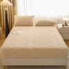 2025Winter Taffeta Fleece Bed Sheet Simple Single Piece Warm Coral Fleece Thickened Flannel Protector Non-Slip Bed Cover
