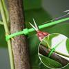 100Pcs 13/17/23cm Plant Cable Ties Reusable Adjustable Plant Stem Clip Nylon Garden Self-locking Cables Ties