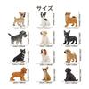 TOYMANY 12PCS Dog Figure Set Mini Animal Figure Dog Model Realistic Animal Model Realistic Animal Model Mini Model Popular Animal Toy Toy Birthday