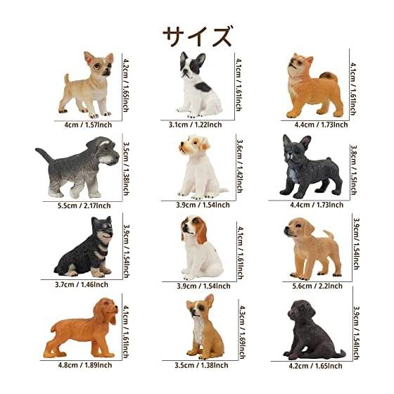 TOYMANY 12PCS Dog Figure Set Mini Animal Figure Dog Model Realistic Animal Model Realistic Animal Model Mini Model Popular Animal Toy Toy Birthday