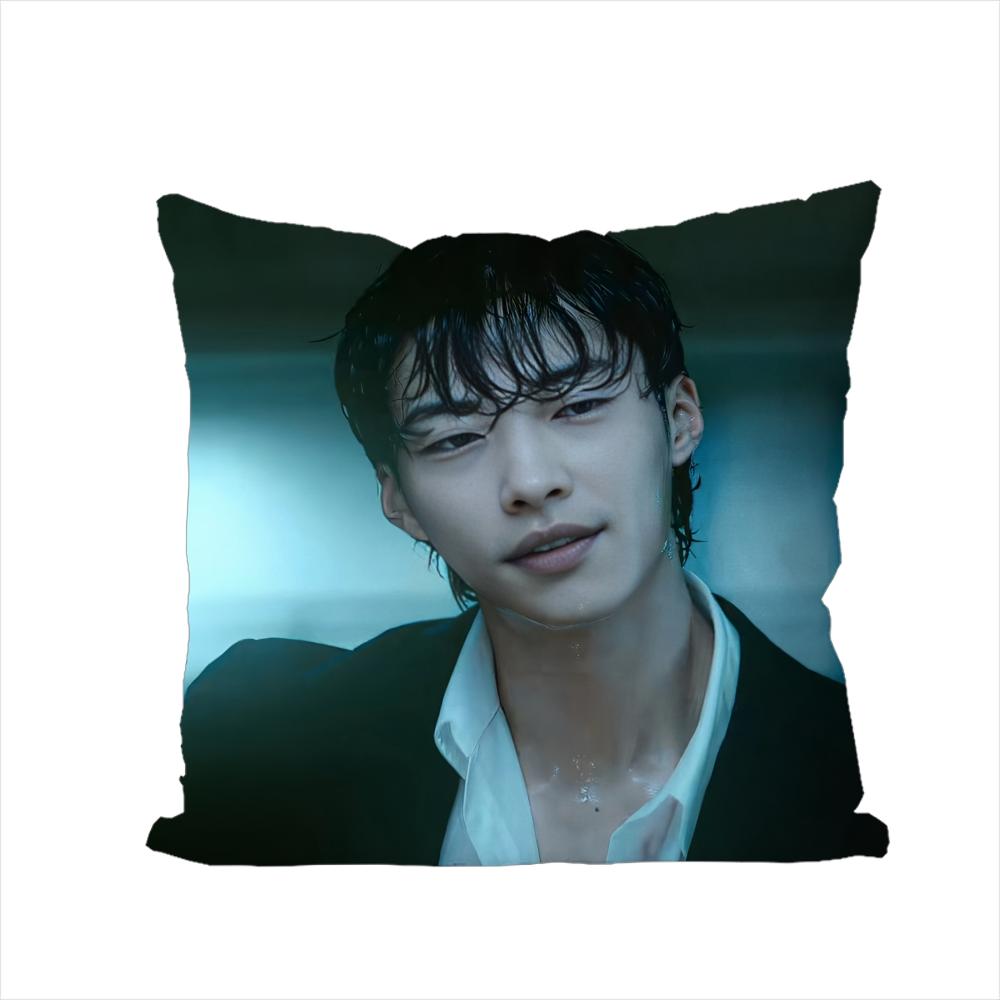 

WWoo Do Hwan Pillow Case For Car Sofa Decorative Home Doublesided Print Plush Square Throw Pillow Cushion Cover 30x30cm