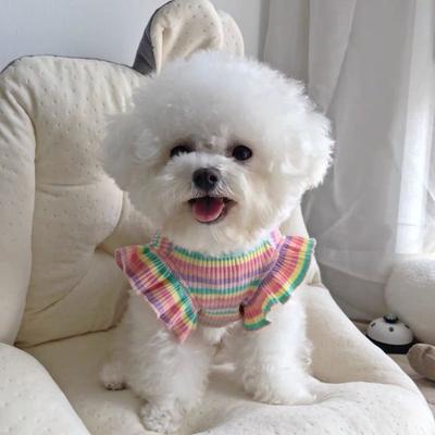 Puppy Rainbow Stripes Summer Clothes Dog Fancy Dress for Small Breeds Dogs Pet Short Skirt Ropa Perro Costume Roupa Vestido