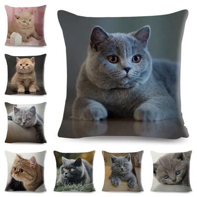 Copricuscino Decorativo Gatto Carino Animale Domestico Gatto Blu Russo Poliestere Federa per Cuscino per Divano Casa Auto