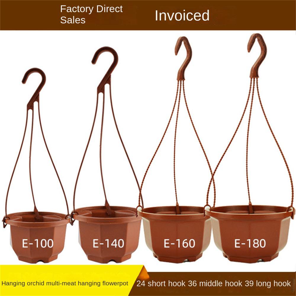 Saksıda Sarkıt Sepet Saksı Çiçekler Dekor Saksılar Sukulentler Kaktüs Saksı Bahçe Evleri Dış Mekan Bahçecilik Dekorasyonu